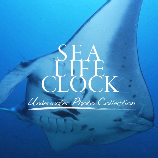 Sea Life Clock