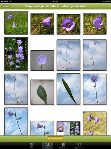 Cercapiante - Immagini, nomi scientifici, comuni e dialettali di piante ora anche per iPad screenshot 4
