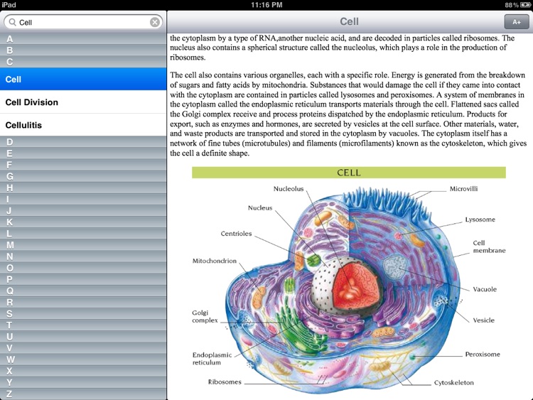 Illustrated Medical Dictionary