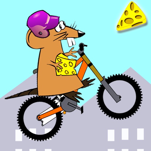 Rat On A Bike