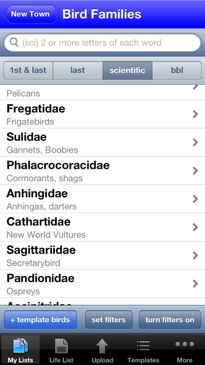 My Bird Observations
