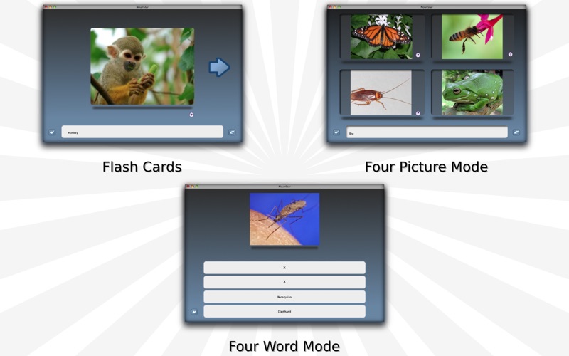 NounStar - English Language Study thumbnail 2