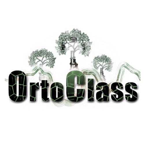 OrtoClass icon