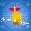 Chinese Slang and Internet Memes