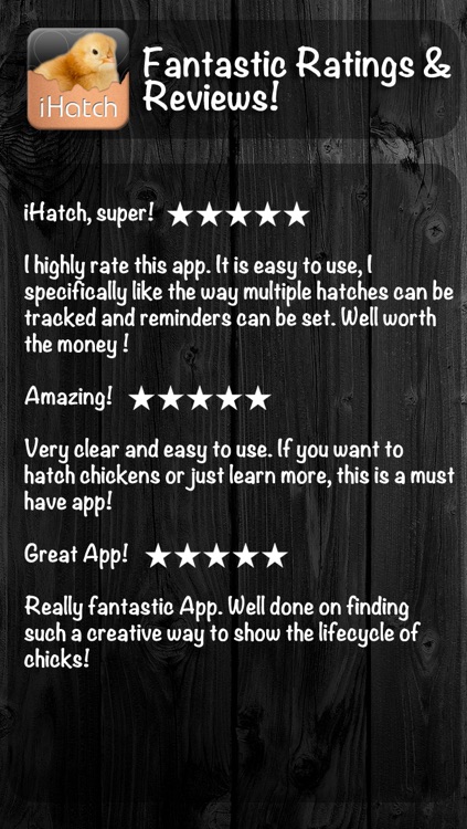 iHatch-Chickens screenshot-4
