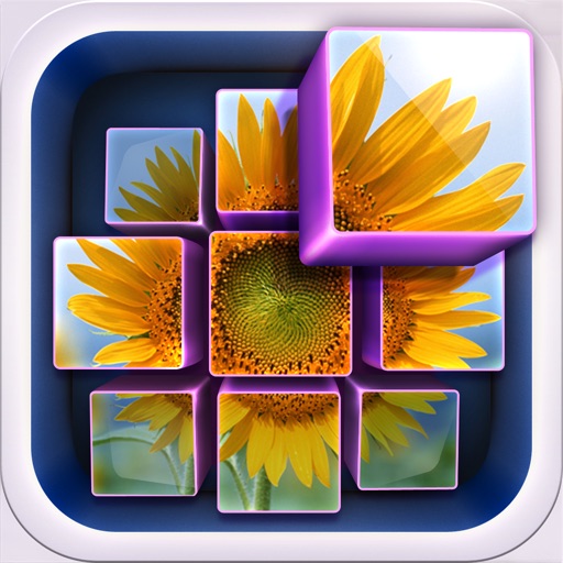 InstaMosaic - Photo Mosaic Generator iOS App
