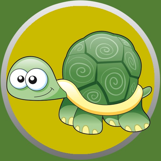 Memory Game and turtles icon