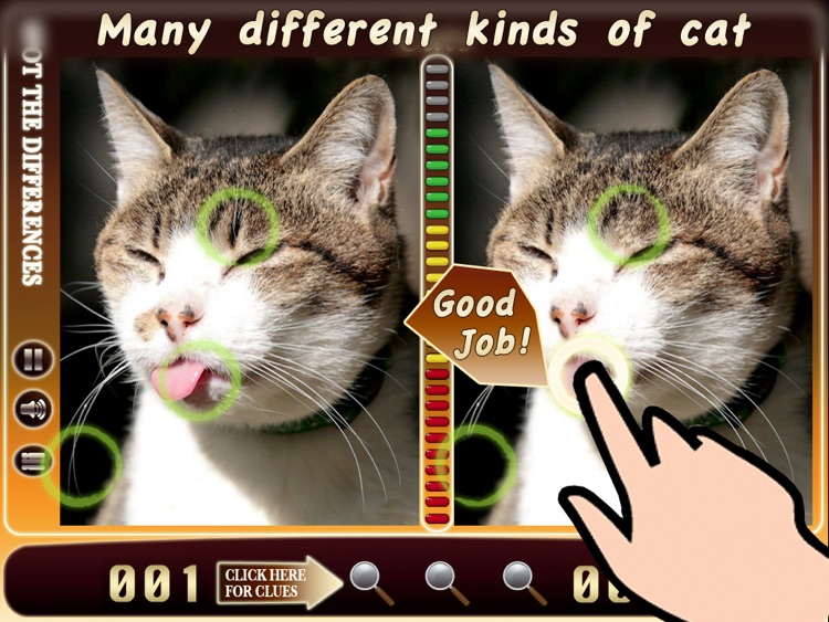 Spot The Difference HD - cats Lite screenshot-3