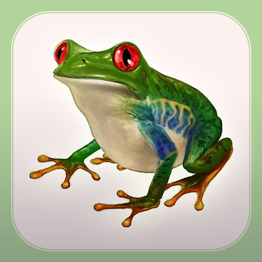 FROG MINUTES iOS App