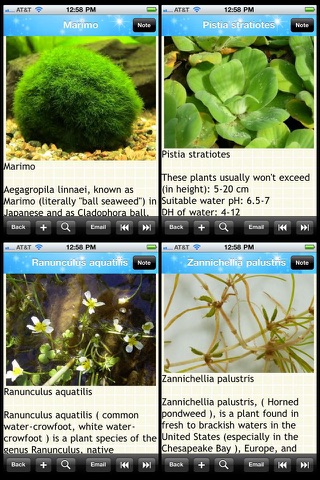 Aquarium Plants Encyclopedia screenshot 2