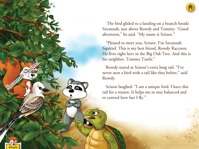 Rowdy Raccoon and the Turtle Who Wanted to Fly is an interac(圖3)-速報App