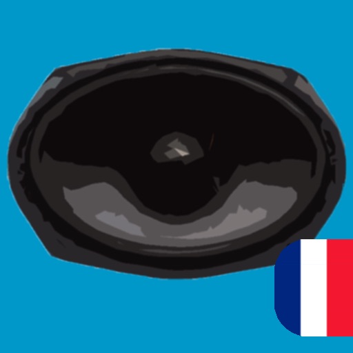 CAR AUDIO (Français)