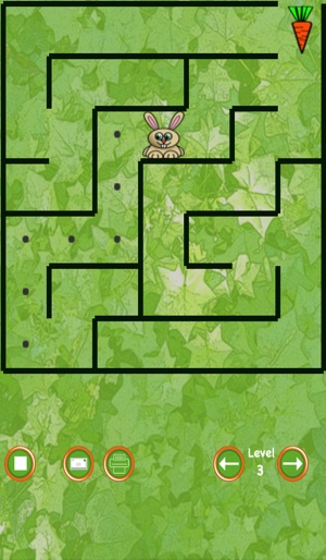 Bunny Maze Race (rabbit vs turtle)(圖3)-速報App