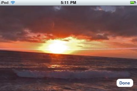 Ladybug Spherical Viewer