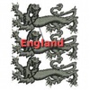 Euro 2012 England