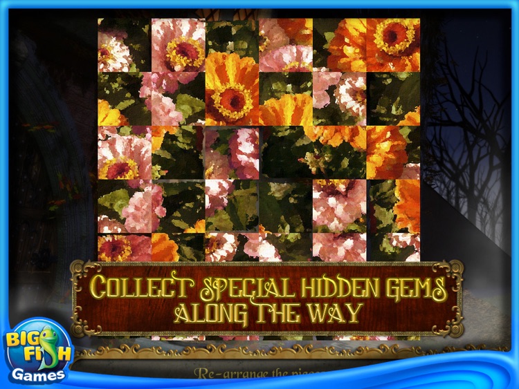 Mystery Seekers: The Secret of the Haunted Mansion HD
