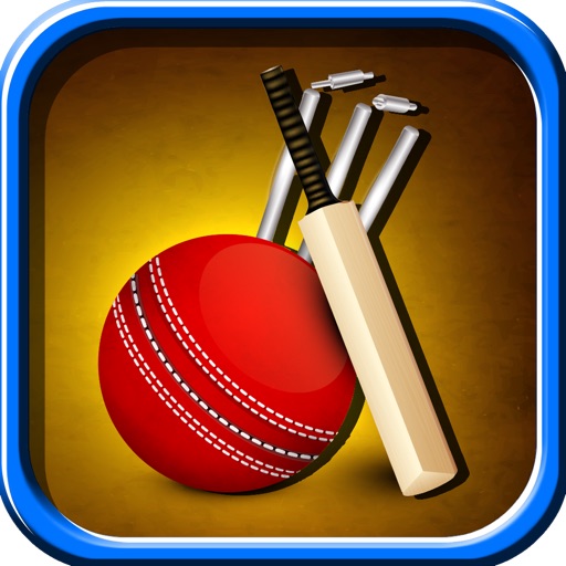 Stickman Flick Cricket World Series - Full Version icon