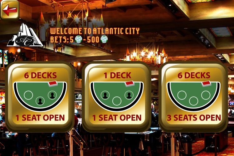 Big Win Blackjack™ screenshot-4