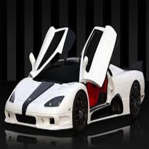 Fast Cars icon