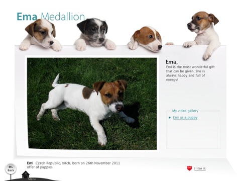Befriending Dogs - Jack Russell terrier screenshot 4