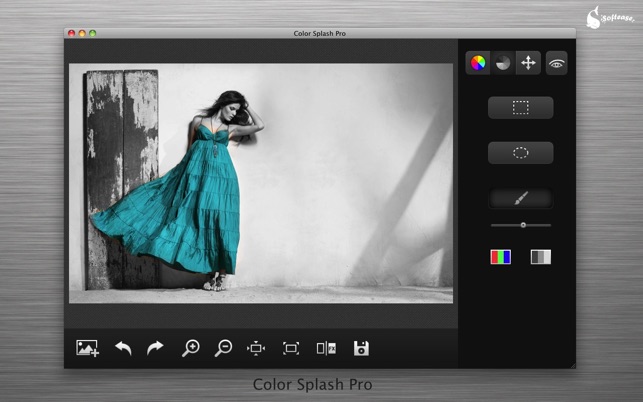 Color Splash Pro(圖4)-速報App