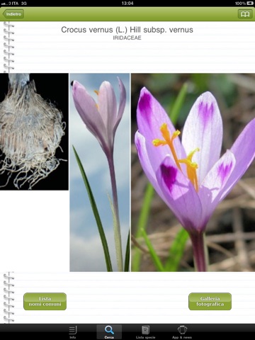 Cercapiante - Immagini, nomi scientifici, comuni e dialettali di piante ora anche per iPad screenshot 3
