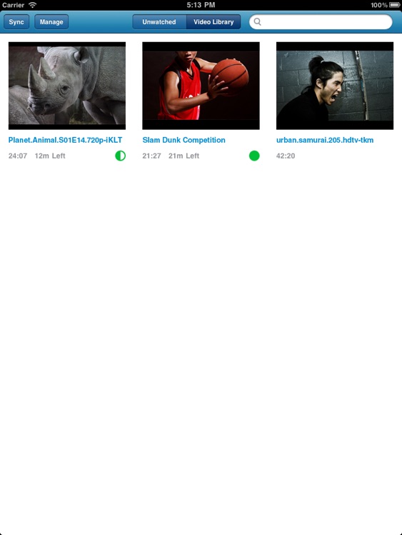 Remux MKV Player for iPad – Play Remuxed Xvid a...