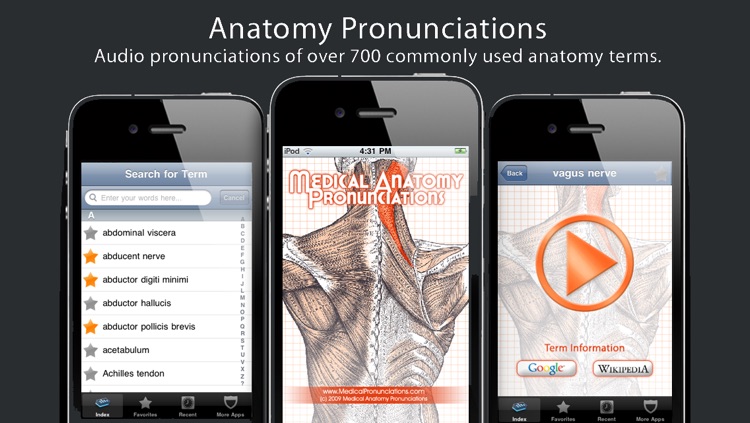 Anatomy Pronunciations Lite