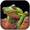 Atlas: Reptiles of World - iPadアプリ