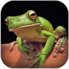 Top 38 Reference Apps Like Atlas: Reptiles of World - Best Alternatives