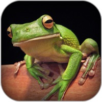 Atlas Reptiles of World