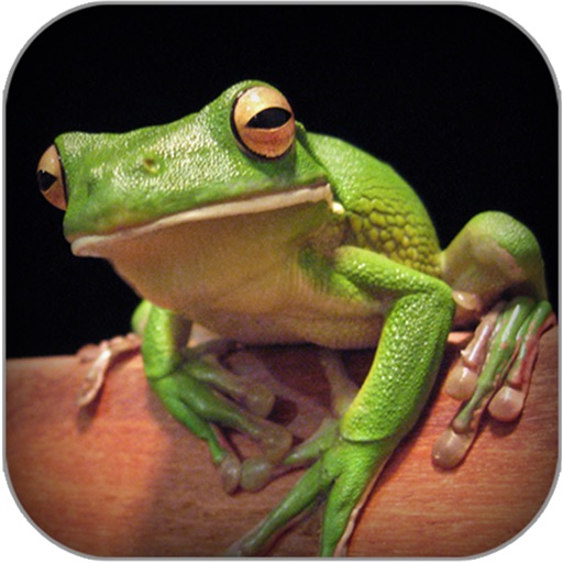 Atlas: Reptiles of World iOS App