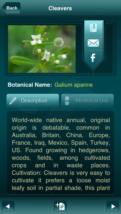 Medicinal Plants and Drugs