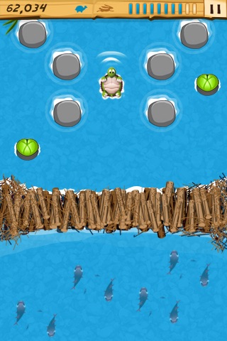 Turtle River screenshot 2