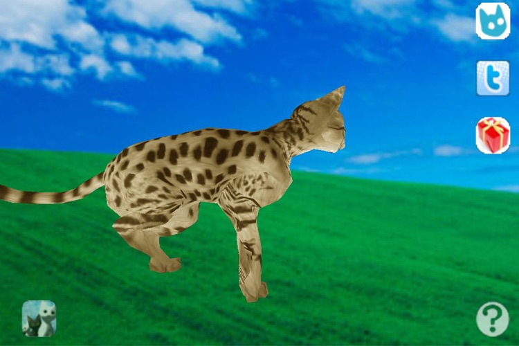 Savannah Petting cat 3D REAL Lite