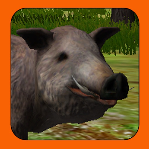 Boar Hunter iOS App