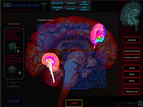 Section du Cerveau screenshot 2