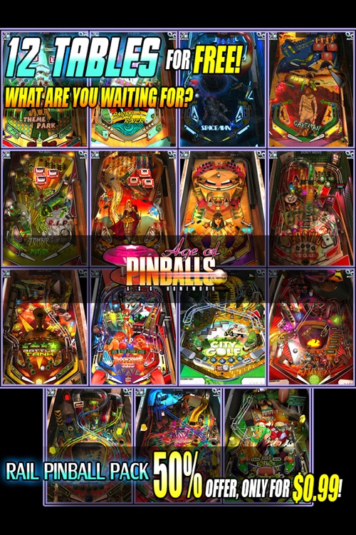 Real Pinball - Wild-Games