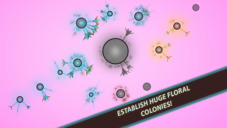 Eufloria