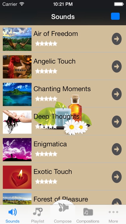 Exotic Sleep Sounds: Rhythmic Relaxation Machine for your Mind, Body and Soul!