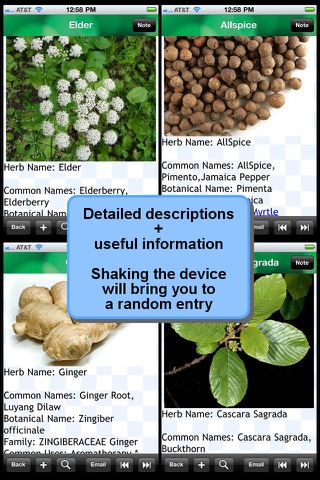 Medicinal Herbs Encyclopedia review screenshots