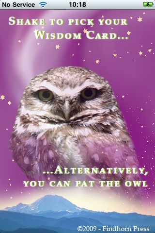 Wisdom Cards - Diana Cooper & Greg Suart
