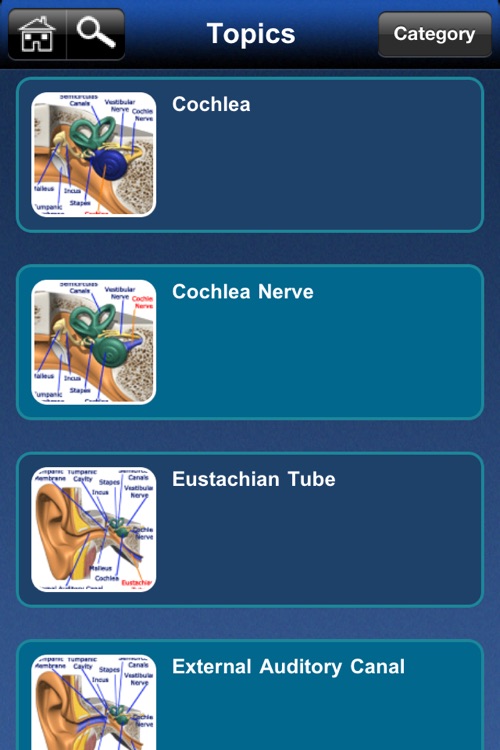 A-Z: Full Body Anatomy