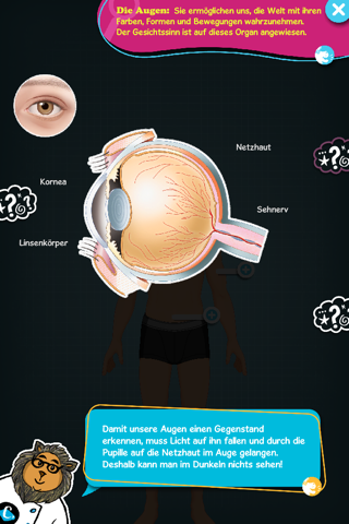 The human body explained by Tom screenshot 2