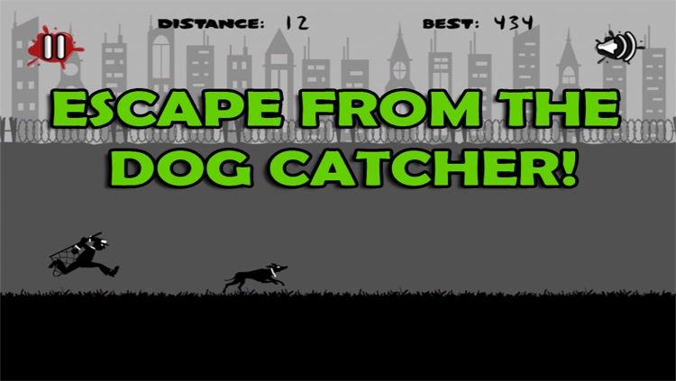 Dog Run Escape