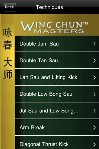 Wing Chun Masters 2 screenshot 2