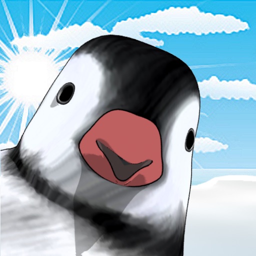 Jomo, the talking baby penguin Icon