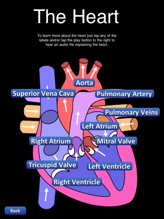 The Body HD - Human Anatomy Learning Tool & Quiz