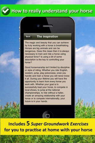 Horsemanship - Equestrian lessons for horse back riders screenshot 4