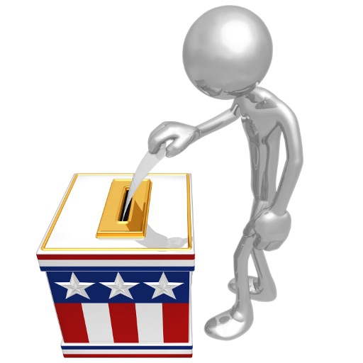 Election icon